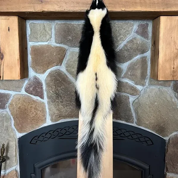 Skunk 1